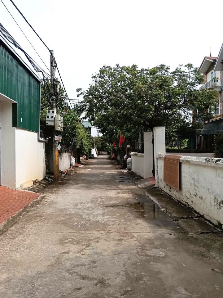 Đất nền Thư Phú, Thường Tín, 50m² giá chỉ 2.65 tỷ - Đầu tư sinh lời cao!