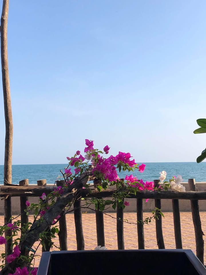 Đất thổ cư mặt biển Bãi Rạng, Hàm Tiến 200m² giá 9 tỷ - Cơ hội đầu tư lý tưởng!