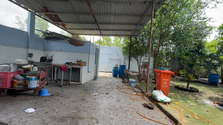 Cho thuê mặt tiền kinh doanh Quốc lộ 50, Cần Giuộc 600m² - Lợi nhuận cao từ mọi mô hình!