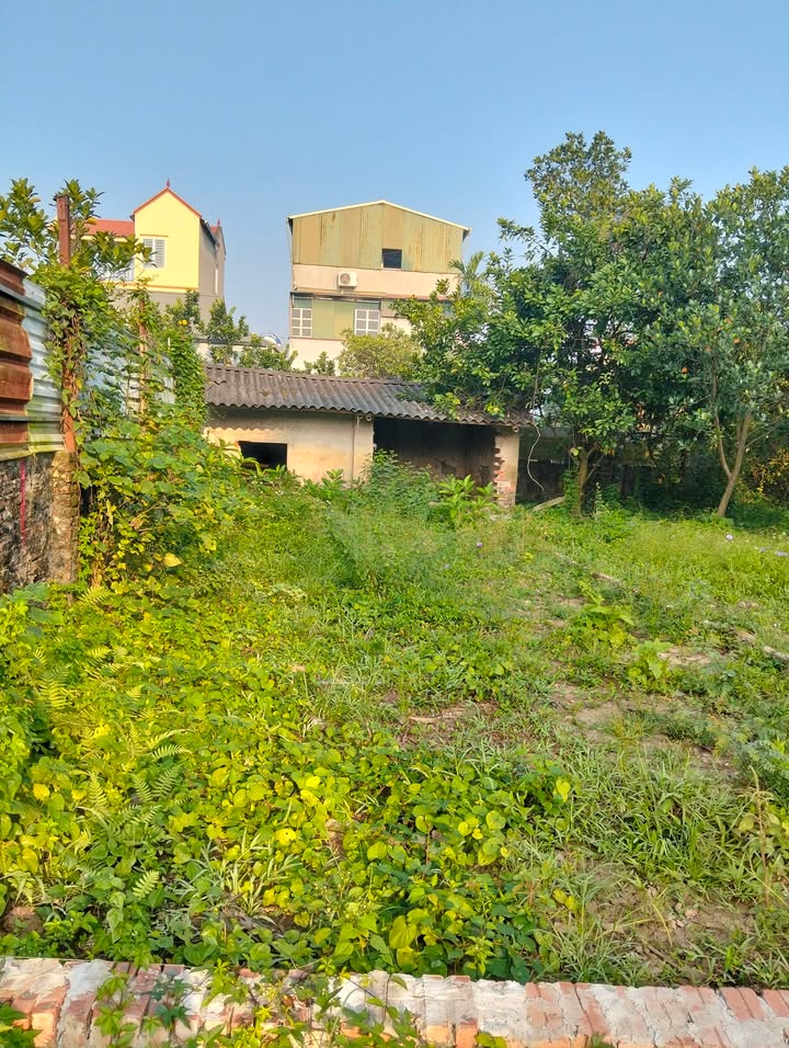 Bán đất thổ cư Thôn Vĩnh Trung, Thanh Trì, 80m² - Đầu tư sinh lời tốt!