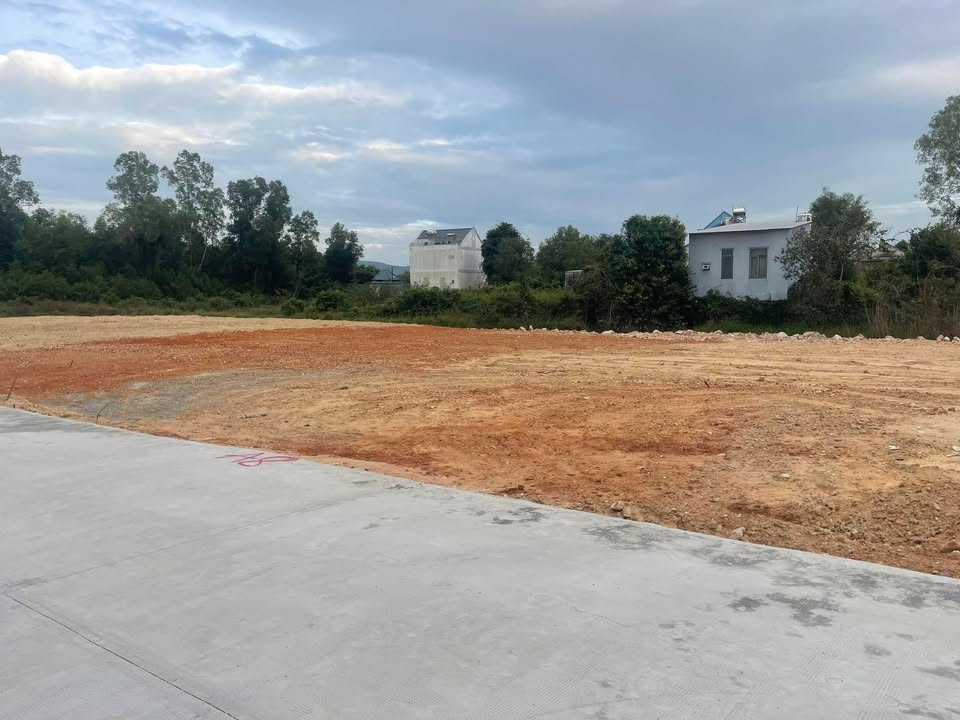 Đất nền biệt thự Cây Thông Ngoài 500m² chỉ từ 2 tỷ - Cơ hội đầu tư hấp dẫn!