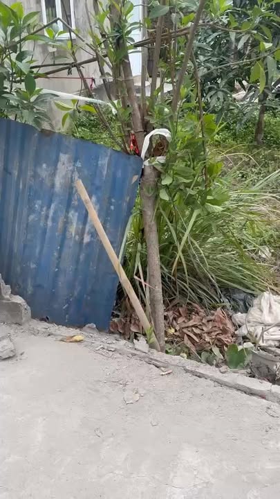 Đất nền An Đồng Hải Phòng 55m² giá chỉ 1.5 tỷ - Ô tô vào tận nơi!