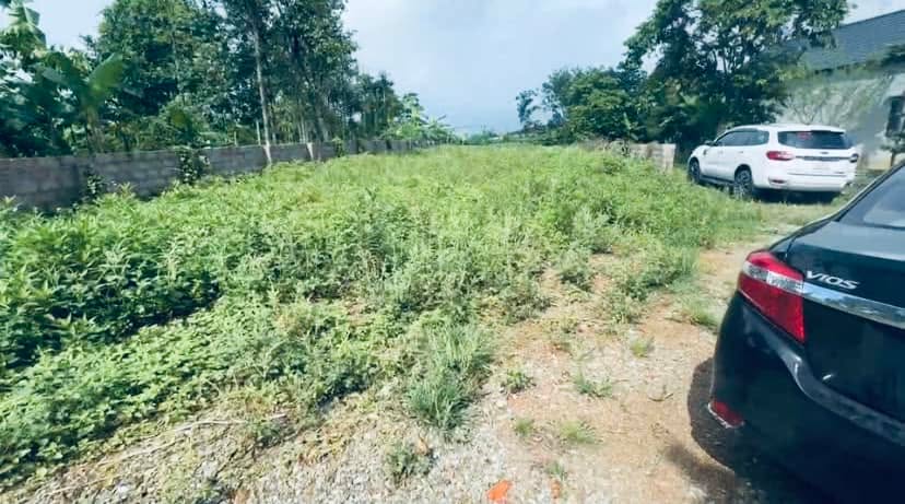 Đất nghỉ dưỡng Yên Bài Ba Vì 150m² giá 720 triệu - Cơ hội đầu tư hấp dẫn!