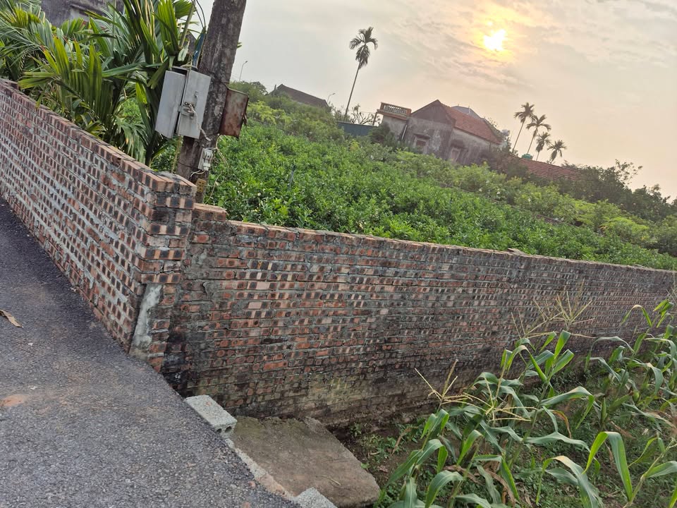 Đất thổ cư 300m² xã Tân Dân, Khoái Châu - Đường nhựa rộng rãi, giá thỏa thuận!