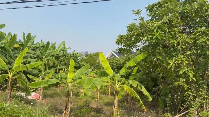 Đất nền Hiệp Hòa Bắc Giang 265m² - Giá thỏa thuận hấp dẫn!