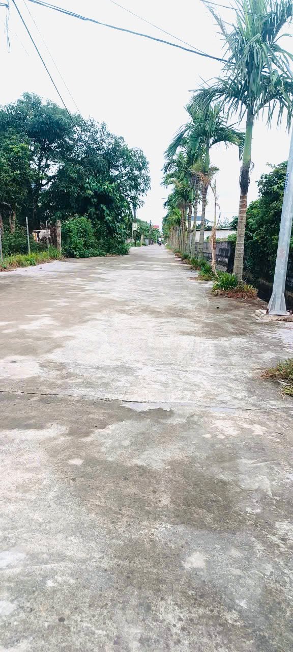 Đất nền Nghĩa Thành 80m² giá 600 triệu - Nở hậu đẹp, sổ hồng chính chủ!