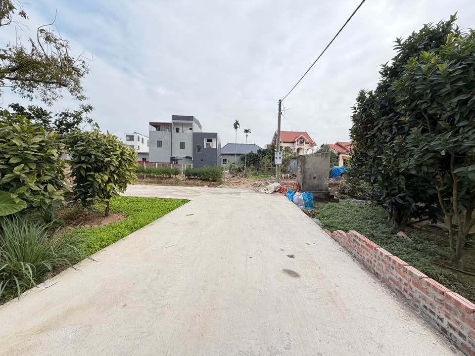 Đất Tự Lập, Đặng Cương, An Dương 48m² giá 1.3 tỷ - Đầu tư kinh doanh sinh lời!