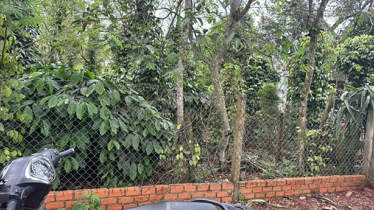 Đất nền Đức Mạnh 228m² giá 620 triệu - Khu dân cư đông đúc