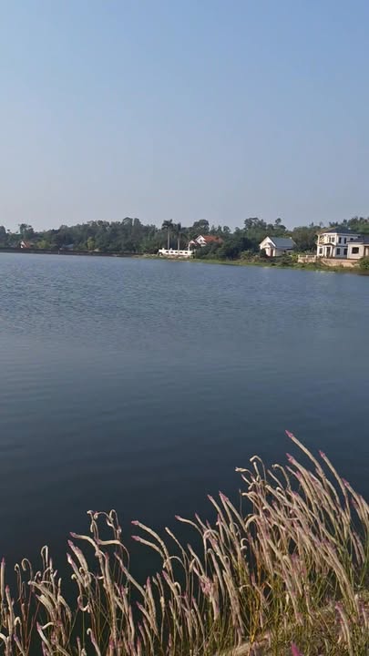 Đất khai hoang 5000m² tại phường Văn An, Chí Linh - Giá chỉ 850 triệu!