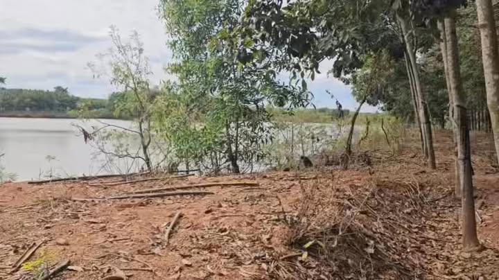 Đất Farm 9ha tại Hưng Phước, Bù Đốp - Giá chỉ 6 tỷ - View sông mát mẻ!