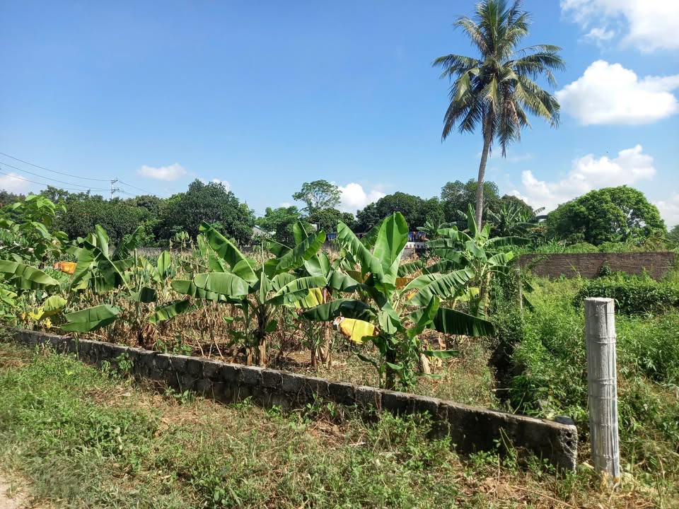 Đất nền 4000m² tại đường Liên Xã, xã Quỳnh Lưu, Nho Quan - Cơ hội đầu tư hiếm có!