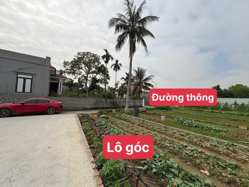 Đất lô góc 2 mặt tiền Tân Dân An Lão 65m² giá 600 triệu - Đầu tư sinh lời ngay!