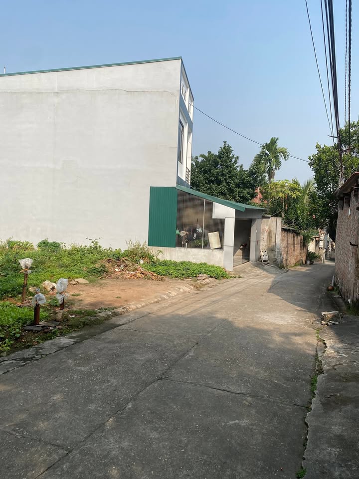 Đất nền chính chủ tại phường Việt Trì 5m² giá 3 tỷ - Vị trí trung tâm tiện ích vượt trội!