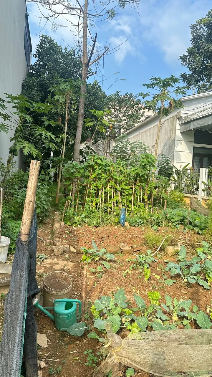 Đất thổ cư Hưng Thành Tuyên Quang 72m² - Giá thỏa thuận chính chủ bán gấp!