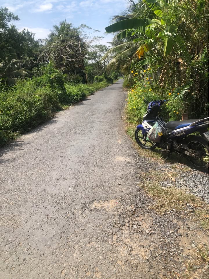 Đất nền ấp Hòa Quới, Bình Ninh, Chợ Gạo 646m² giá 2.5 tỷ - Đầu tư sinh lời ngay!