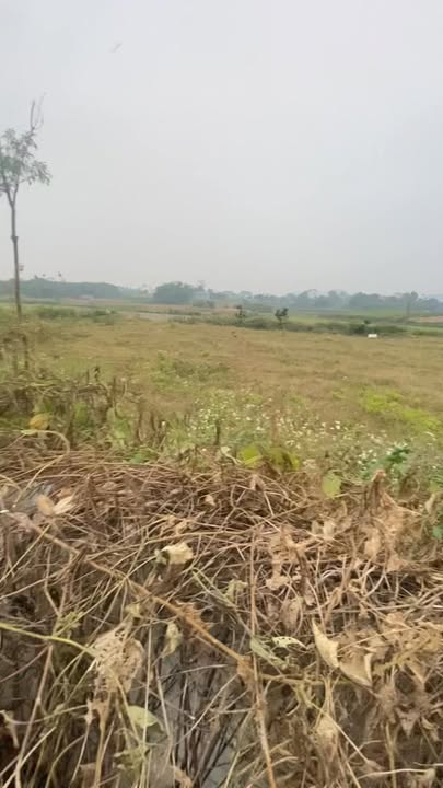 Đất thổ cư 850m² Liên Sơn, Lương Sơn giá 4 tỷ - Vị trí đẹp, view thoáng mát!