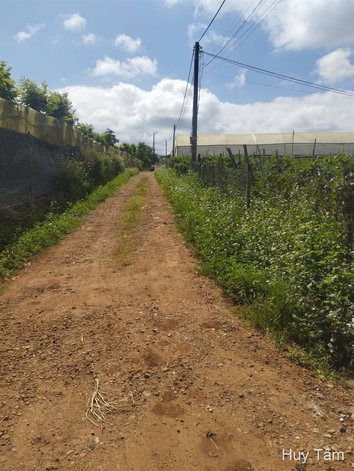 Đất nền Ka Đô 180m² giá 2.2 tỷ - Vị trí đẹp, tiềm năng sinh lời