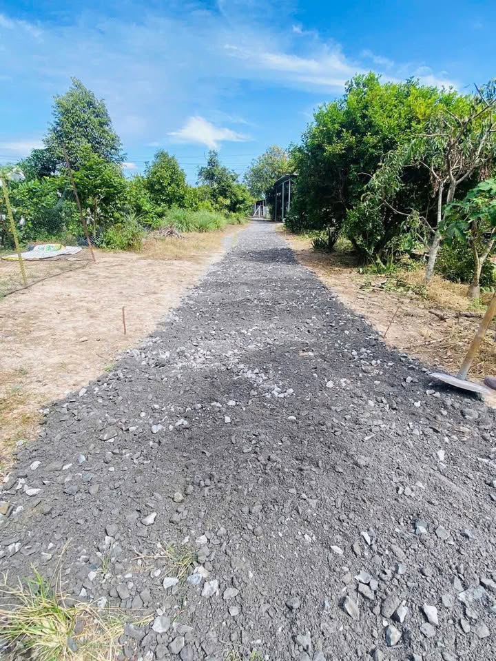 Đất nền Long Hoa, Hòa Thành, Tây Ninh 152.5m² giá 300 triệu - Đầu tư sinh lời ngay!