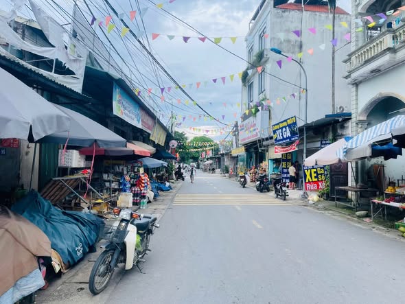 Đất nền Phú Cát Quốc Oai 100m² giá thỏa thuận - Vị trí đắc địa, cực hiếm