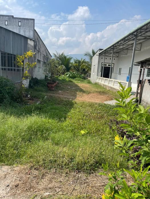 Đất nền An Cư Tịnh Biên 240m² giá 700 triệu - Mặt tiền HL11 sầm uất!