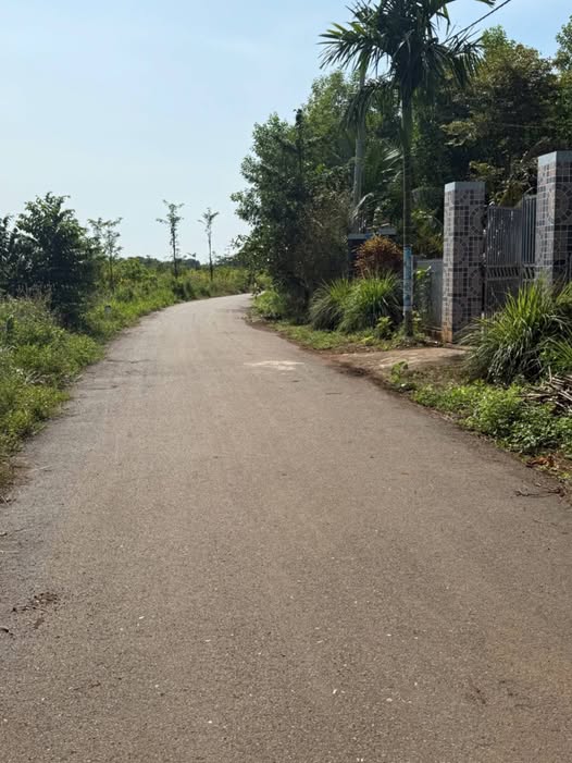 Đất nền Đá Bạc Châu Đức 7100m² giá 2.84 tỷ - Cơ hội đầu tư hấp dẫn!