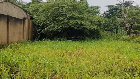 Bán đất Lộc An, Long Thành 1.011m² giá chỉ 9.2 tỷ - Đầu tư sinh lời cao!