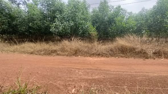 Đất thương mại dịch vụ Long Thành 10.185m² giá 45 tỷ - Đầu tư sinh lời bền vững!