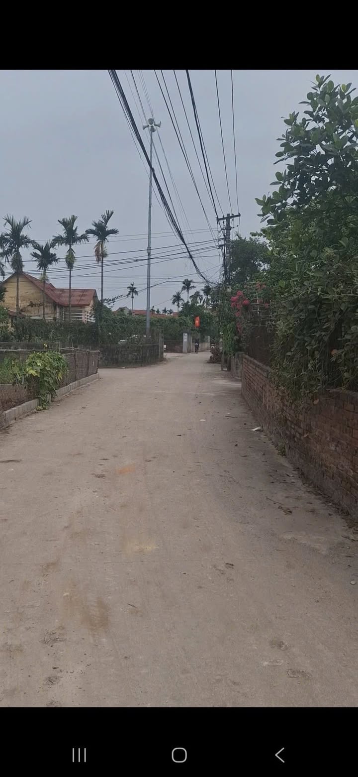 Đất nền Đông Tảo, Khoái Châu 63,7m² chỉ 1 tỷ - Cơ hội đầu tư hấp dẫn!