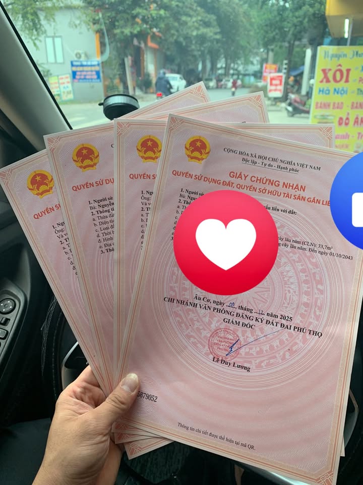 Đất nền Phong Châu, Phú Thọ - Diện tích từ 100m², giá chỉ vài trăm triệu!