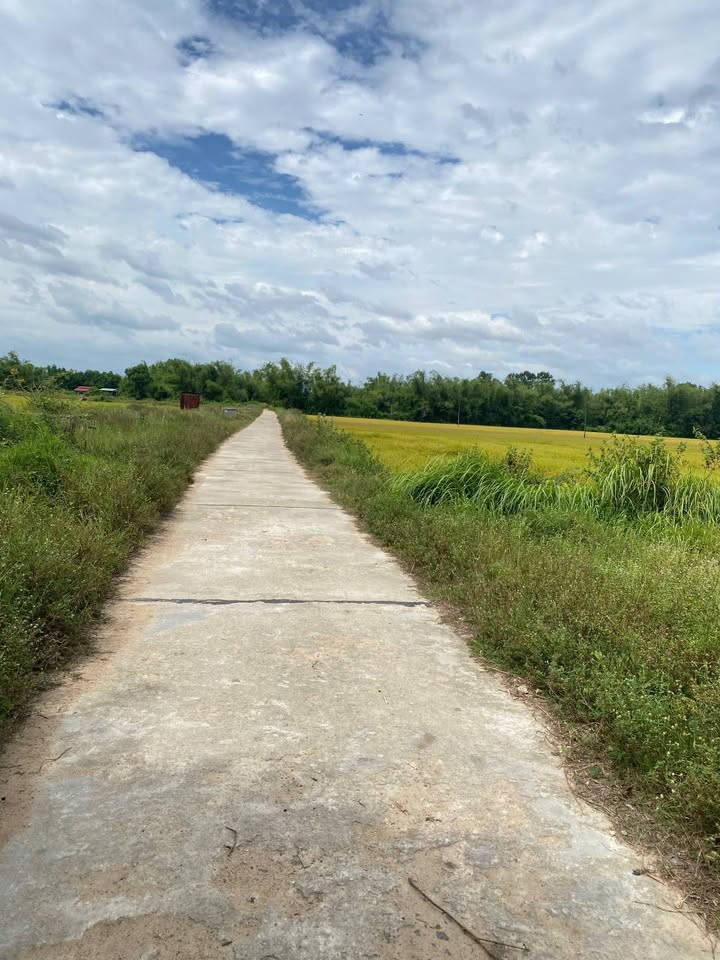 Đất thổ cư Phù Cát 184.7m² giá 300 triệu - Bán gấp chính chủ!