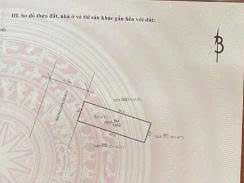 Lô đất Bỉm Sơn 120m² giá chỉ 600 triệu - Đầu tư sinh lời ngay!