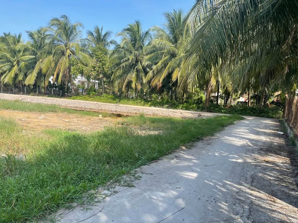 Đất nền 500m² tại Long Đức, Trà Vinh - Giá chỉ 650 triệu, sổ hồng chính chủ!