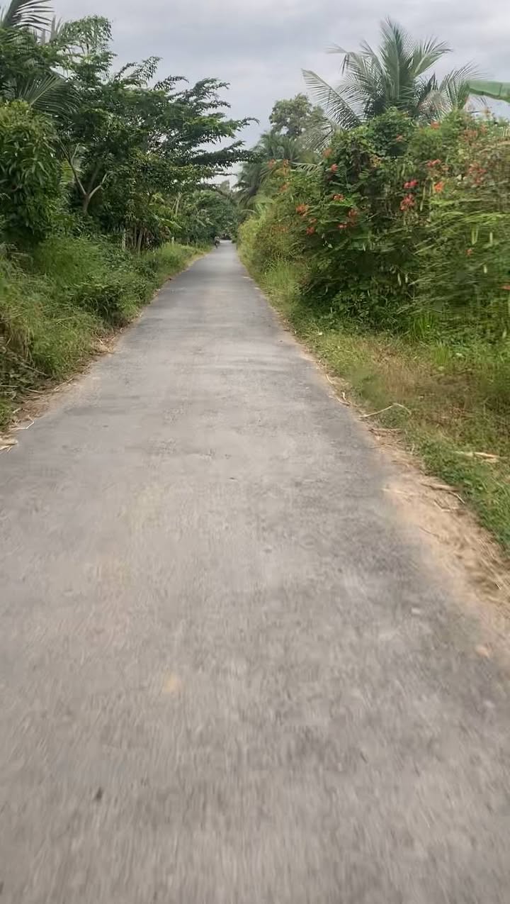 Đất ruộng chính chủ tại Trà Vinh 1100m² - Giá thương lượng hấp dẫn!