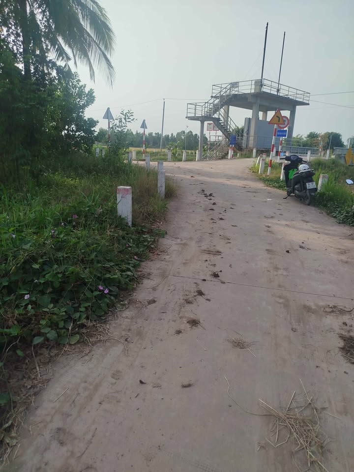 Đất nền 4.500m² xã Long Hiệp, Trà Cú giá 1.2 tỷ - Mặt tiền đường nhựa