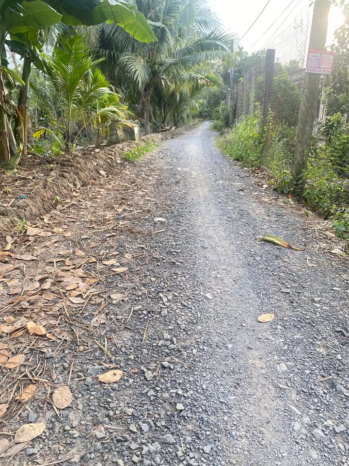 Đất nền Thới An Đông, Bình Thủy 210m² giá 800 triệu - Vị trí đắc địa gần Quốc lộ 91B!