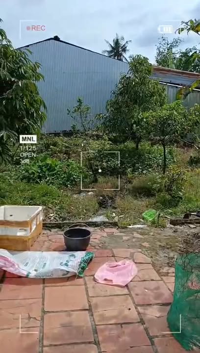 Đất nền Thới Lai, Cần Thơ 1200m² giá 2,4 triệu/m² - Cơ hội đầu tư sinh lời!