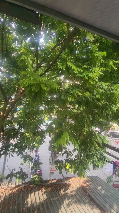 Căn hộ Tập thể Bạch Đằng 82m² giá 3 tỷ - Hai mặt thoáng, ô tô đỗ gần!