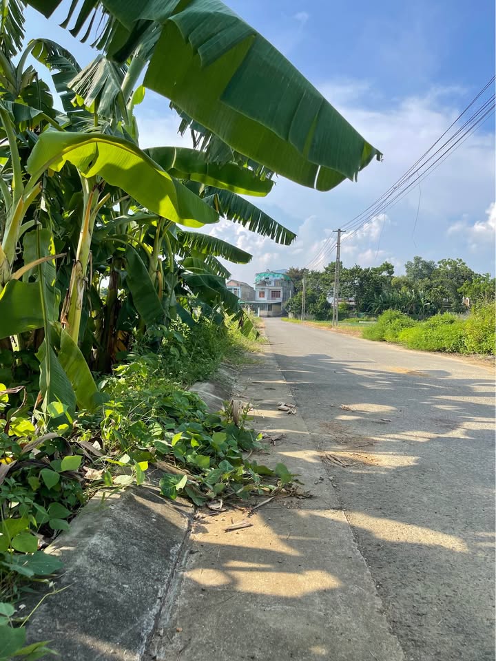 Đất thổ cư 125m² tại phường Minh Xuân, Tuyên Quang - Vị trí đắc địa gần trường cao đẳng nghề!