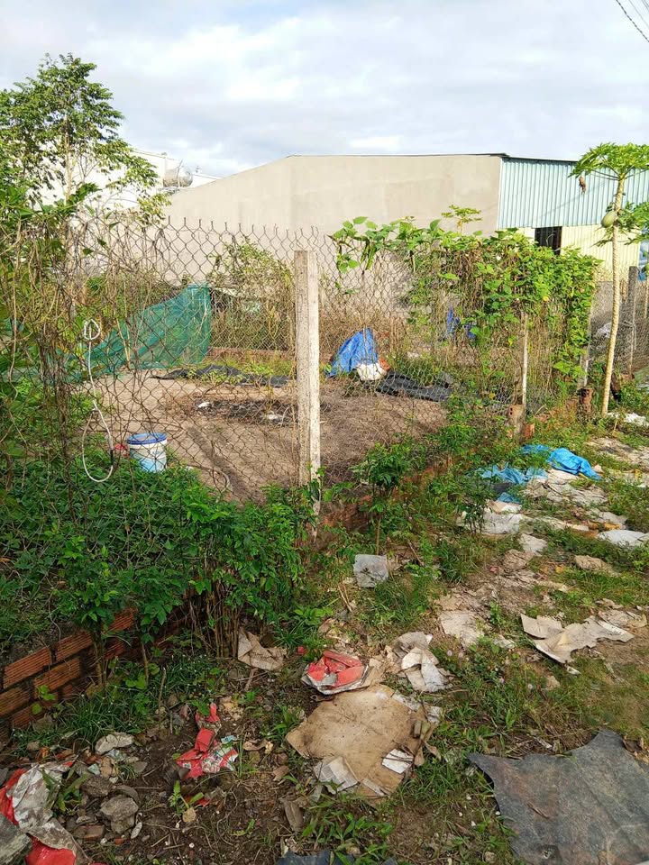 Đất nền Long Phước, Long Thành 125m² giá 400 triệu - Đầu tư sinh lời ngay!