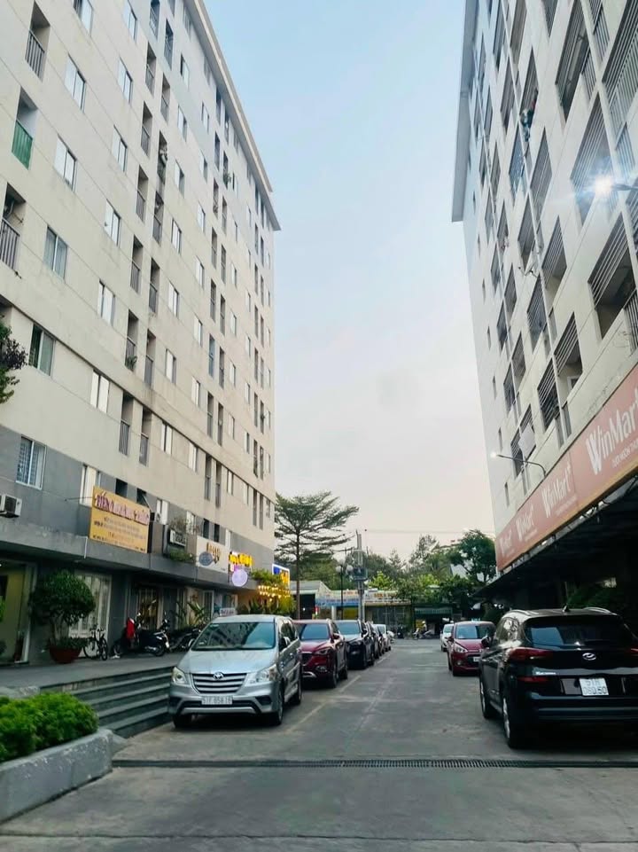 Căn hộ chung cư Hiệp Thành 3, Thủ Dầu Một 42m² giá 3.5 triệu - Nội thất đầy đủ, vào ở ngay!