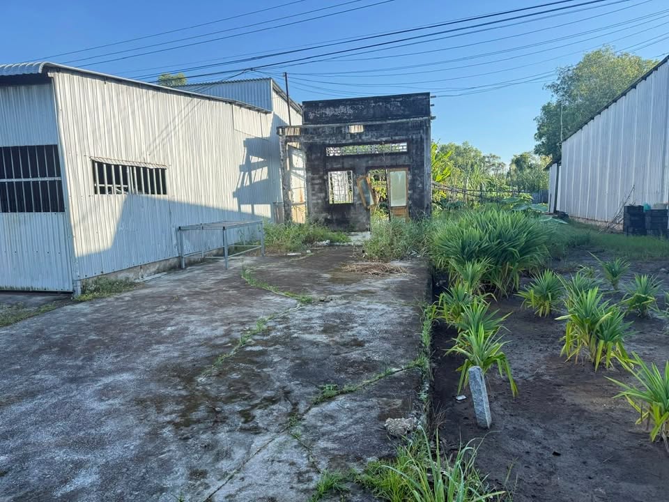 Đất nền ấp Thới Bình, Cà Mau 175m² giá 550 triệu - Cơ hội đầu tư hấp dẫn!