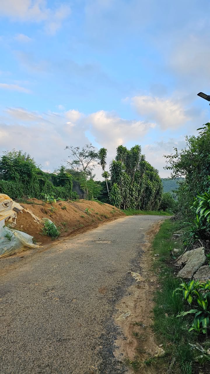 Đất thổ cư 220m² tại thôn 9, xã Tân Lạc, Bảo Lâm - Giá chỉ 1.35 tỷ, đầu tư sinh lời!