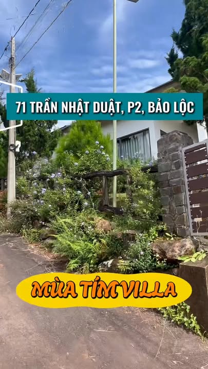 Đất làm homestay Bảo Lộc 1692.5m² giá 3.2 tỷ - Vị trí đắc địa gần trung tâm!