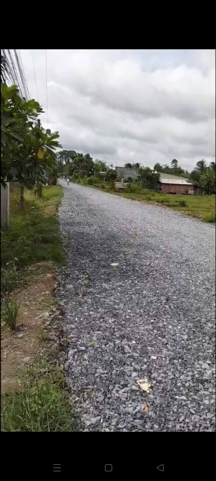 Đất nền biệt thự Phong Nẫm, Giồng Trôm 357m² - Cơ hội đầu tư hấp dẫn!