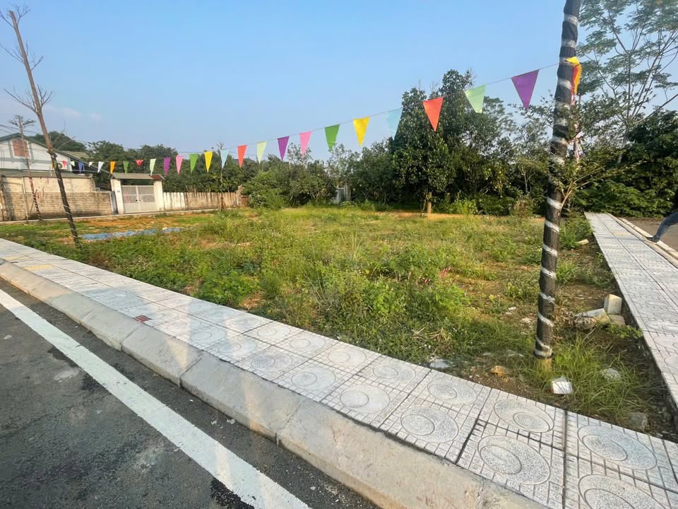 Đất nền Cổ Đông Sơn Tây 100m² giá 3 tỷ - Đầu tư an toàn vị trí vàng!