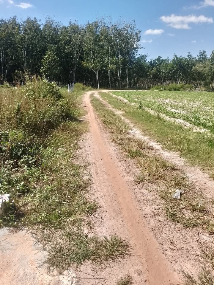 Đất nền 1000m² tại xã Đồng Khởi, Châu Thành - Chính chủ bán gấp!