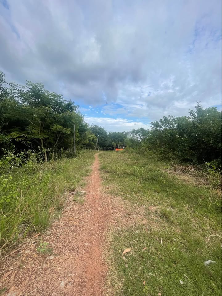 Đất nền Tân Bình Tây Ninh 30.000m² giá 1.8 tỷ - Đường ô tô thuận lợi!