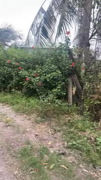 Đất nền thổ cư 154m² Trảng Bàng Tây Ninh giá 630 triệu - Cơ hội đầu tư hấp dẫn!