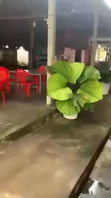 Nhà đất Dương Minh Châu 1500m² giá 3 tỷ - Cơ hội đầu tư tuyệt vời!