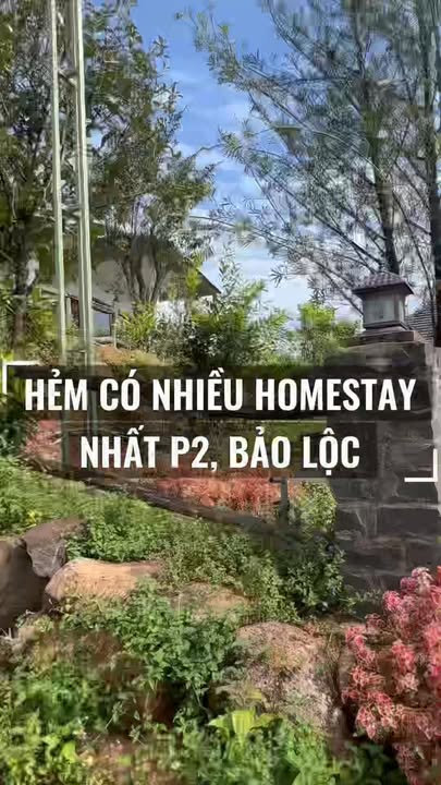 Đất làm homestay 500m² tại Bảo Lộc - Gần trung tâm chỉ 4km!